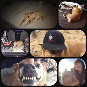 Meet your Posher, Fred